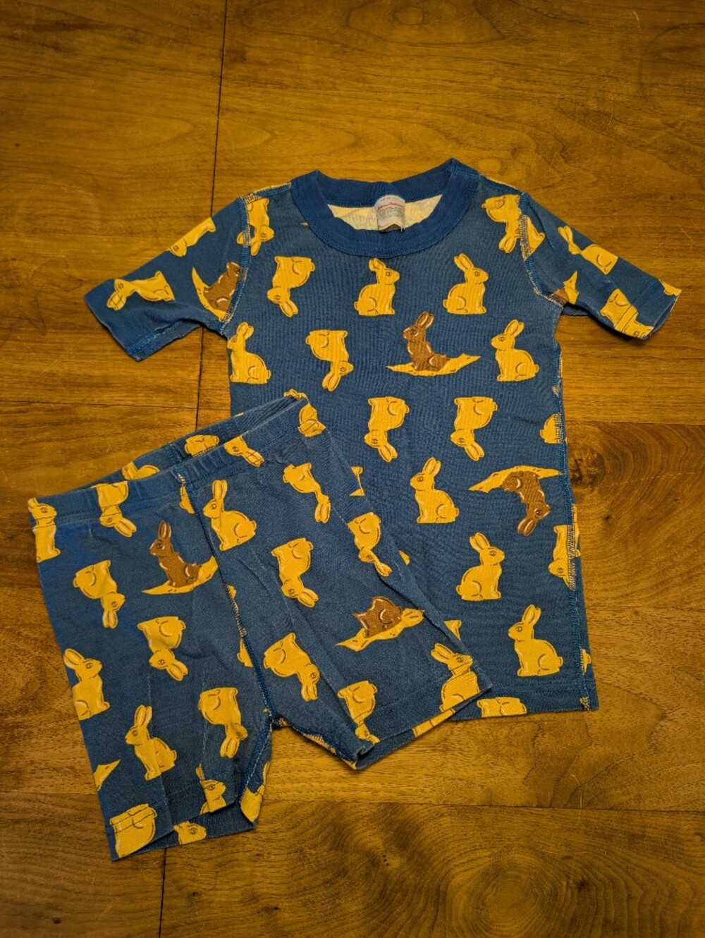 Hanna Andersson Blue Pajama Set with Yellow & Brown Bunny Print